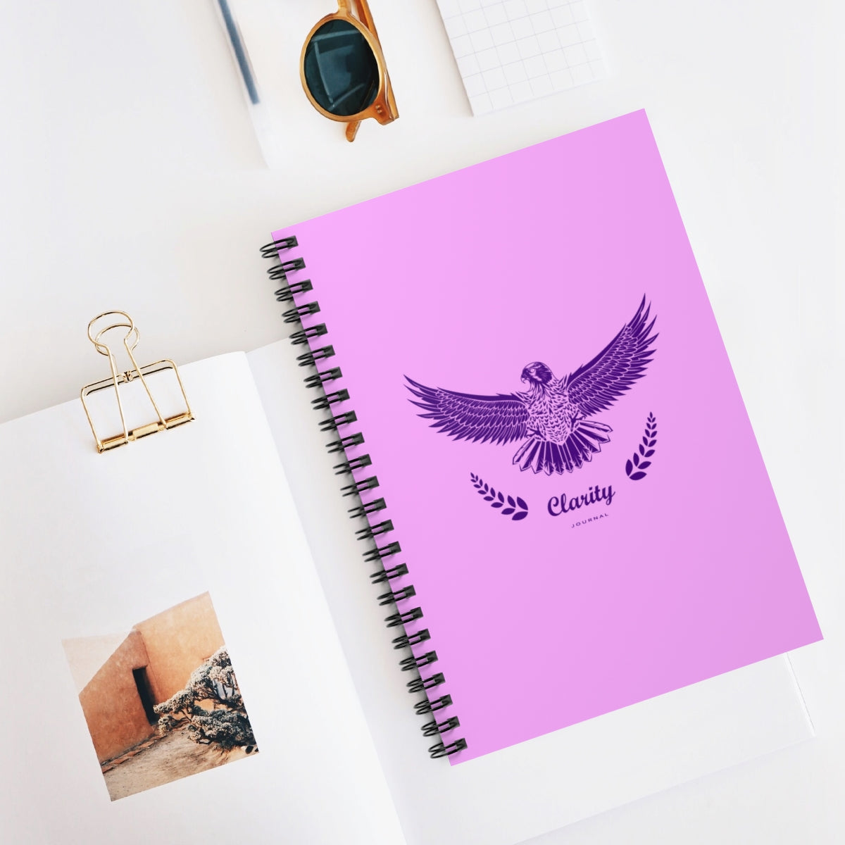 Falcon (Spiral Notebook)